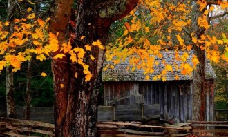 西甲毕尔巴鄂竞技与尼科・威廉姆斯续约至2035年